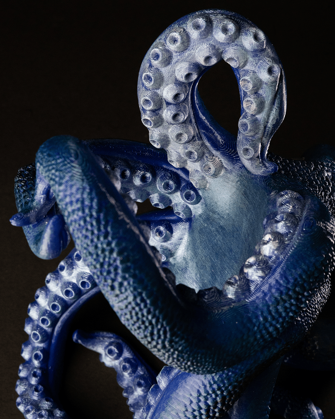 Bordeaux, The Octopus Wine Holder - Image 6