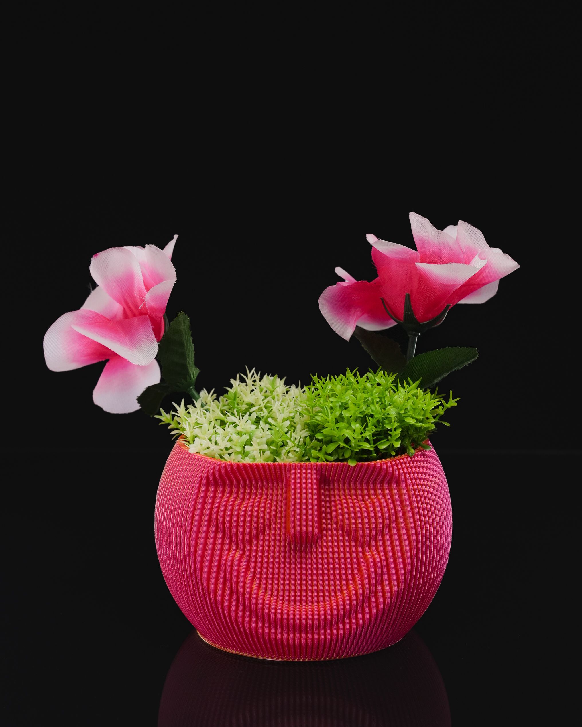 Lovely Face - Image 3