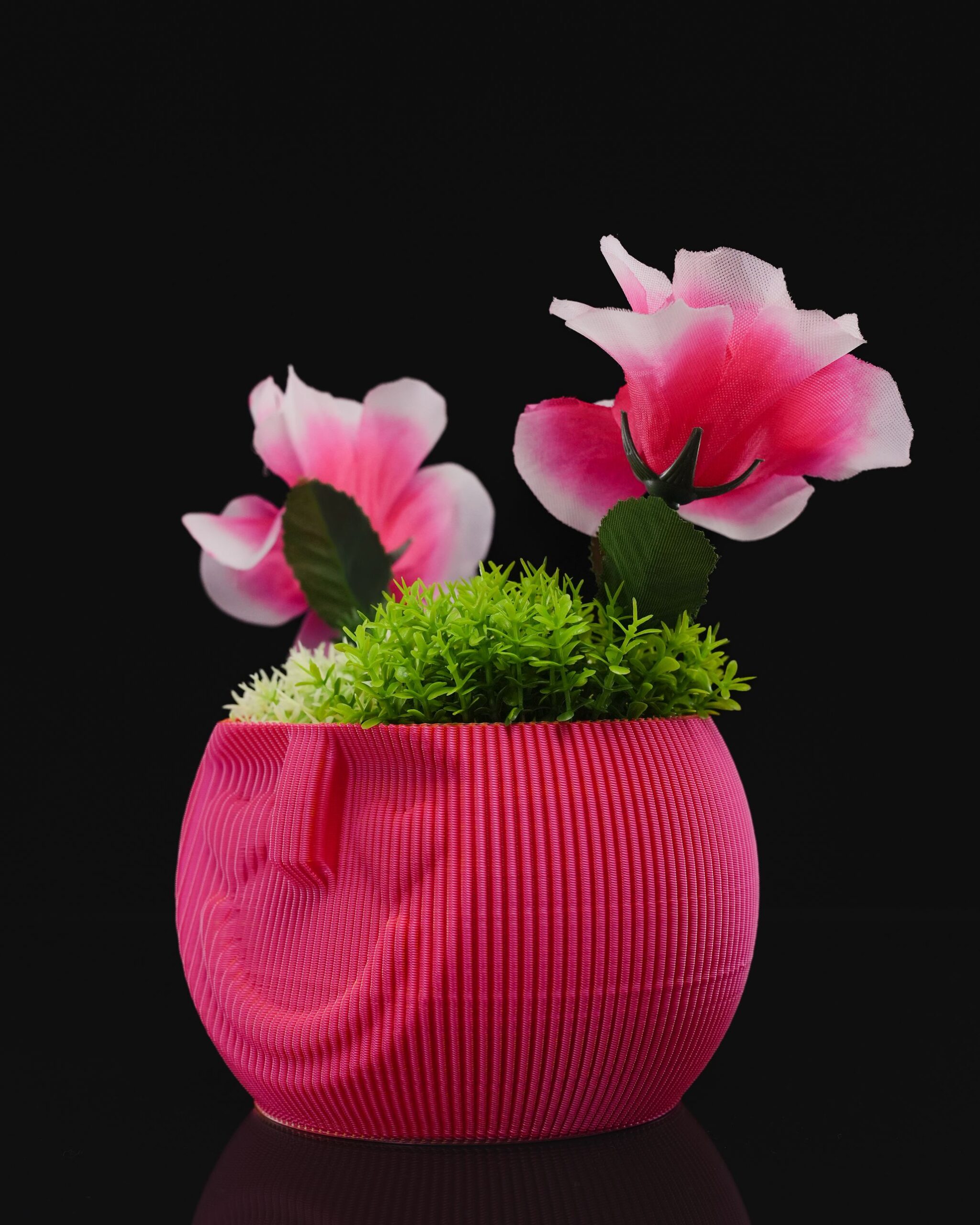 Lovely Face - Image 4