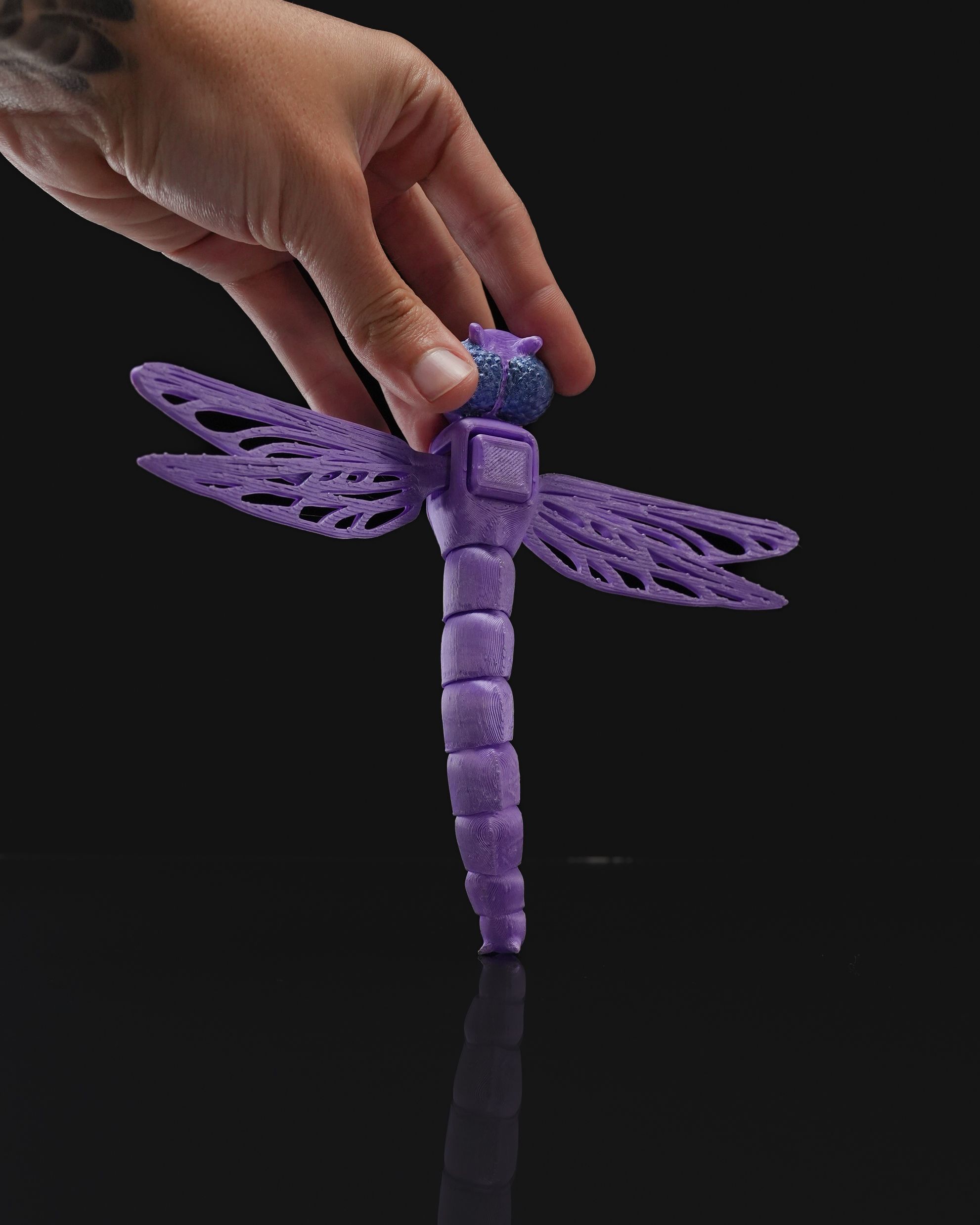 Dragon Fly - Image 5