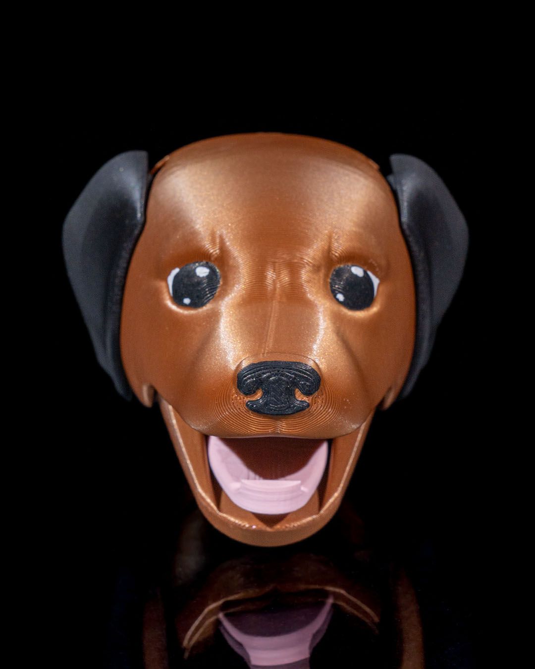 Dog Coat Rack - Image 5