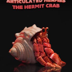 Articulated Hermes, the Hermit Crab