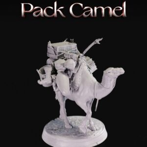 Pack Camel