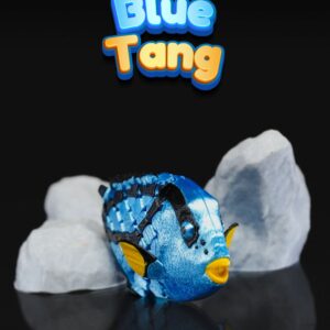 Blue Tang