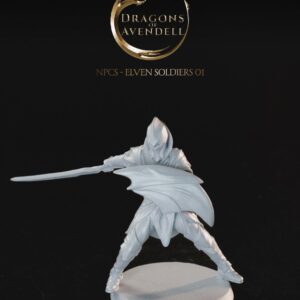 Elven Soldier 01 - NPC