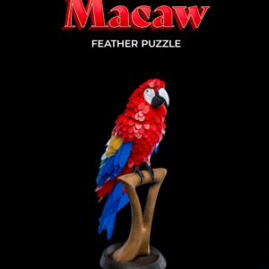 Macaw Feather Puzzle