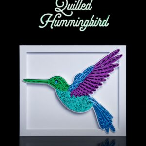 Quilled Humming Bird