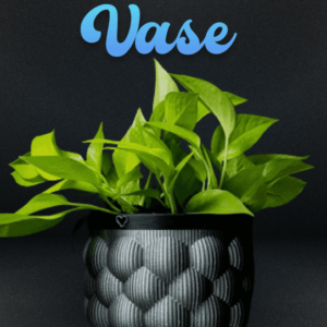Self-Watering Vase