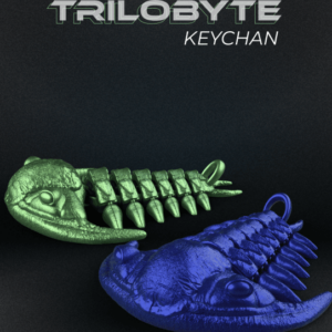 Articulated Trilobite Arthropod