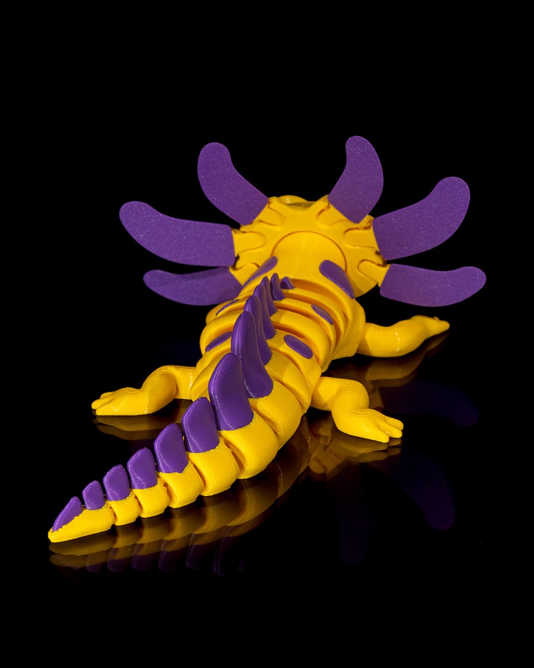 Axolotl - Banana Split - Image 8