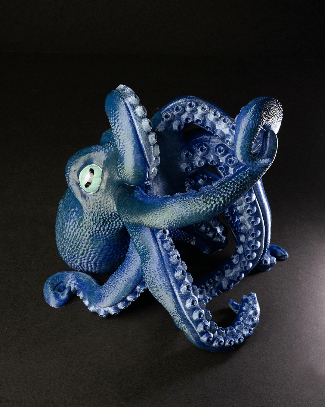 Bordeaux, The Octopus Wine Holder - Image 2