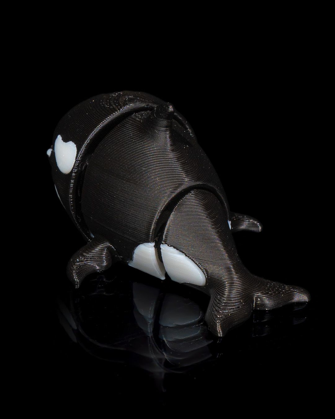 Tiny Orca - Image 7