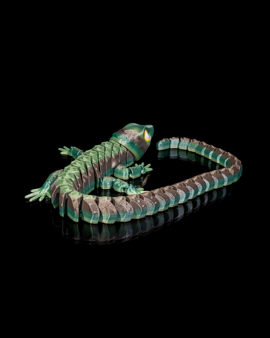 Abronia - Image 8