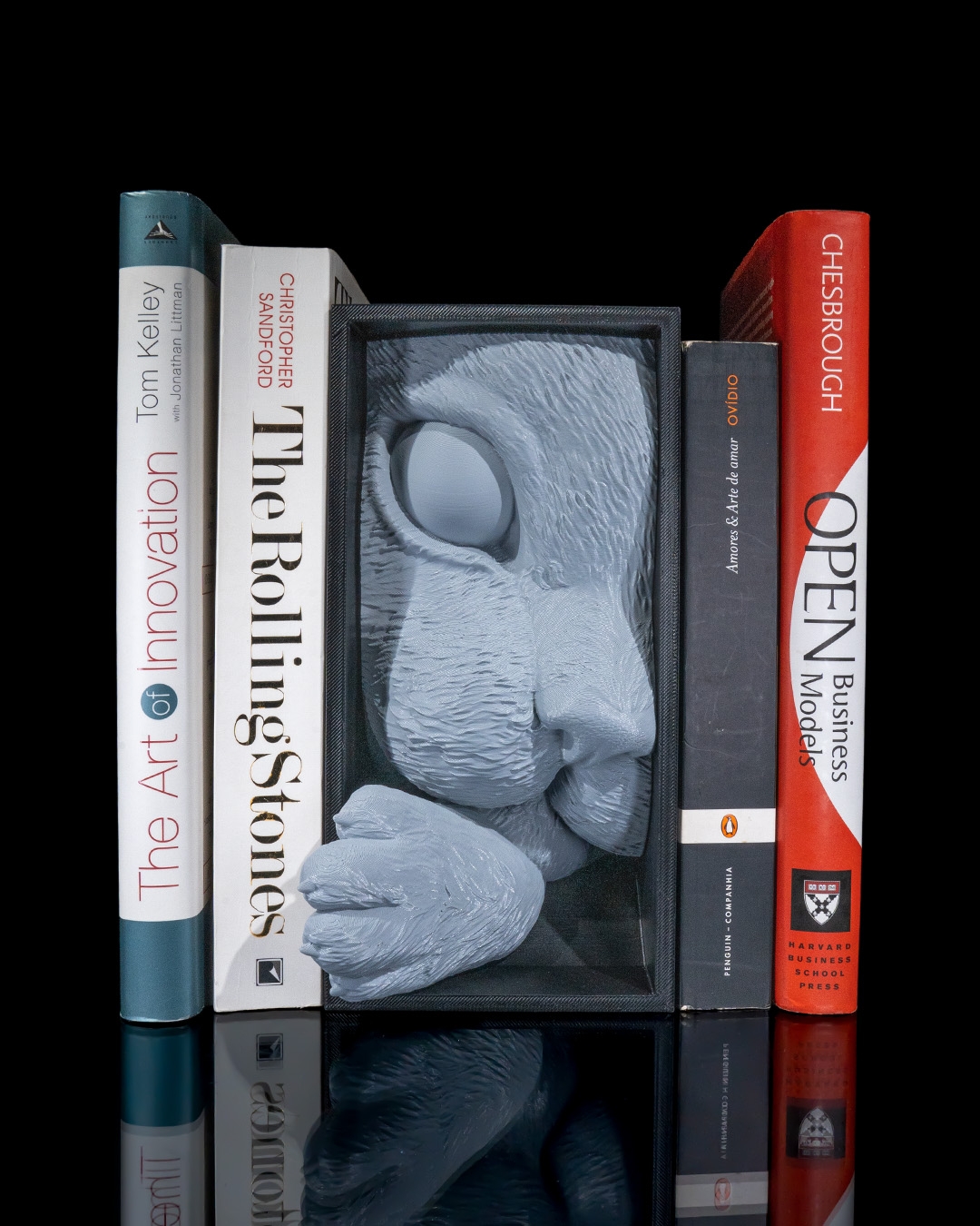 Cat’s Curiosity Book Nook - Image 4