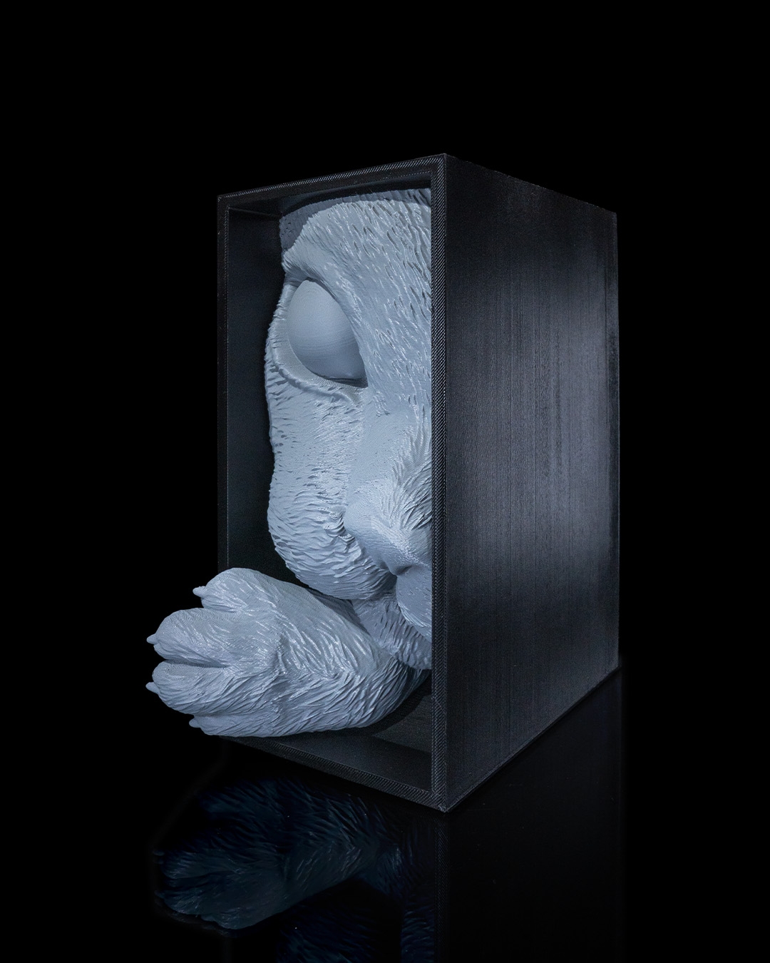 Cat’s Curiosity Book Nook - Image 6