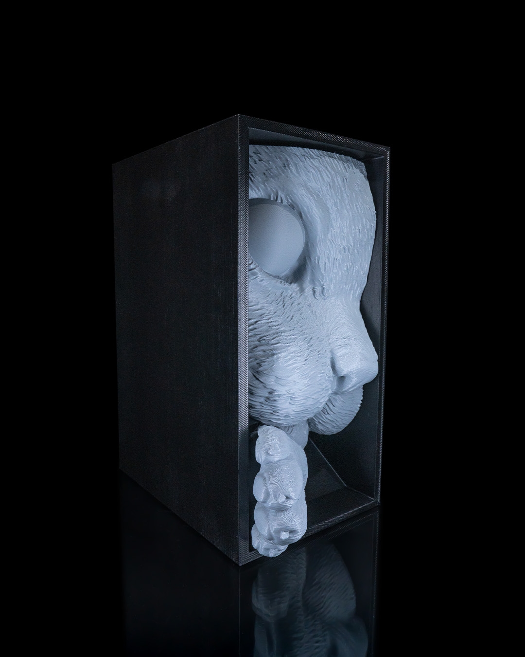 Cat’s Curiosity Book Nook - Image 7