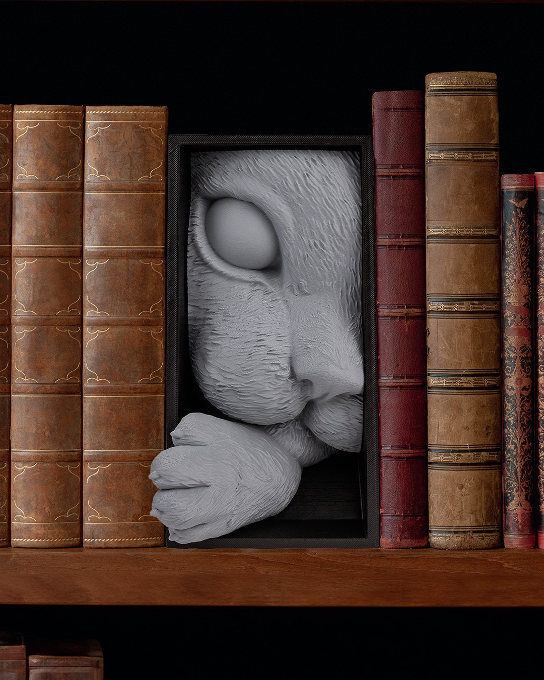 Cat’s Curiosity Book Nook - Image 2