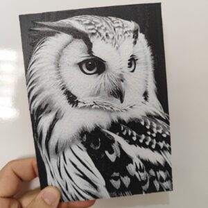 Placa Personalizada hueForge Coruja