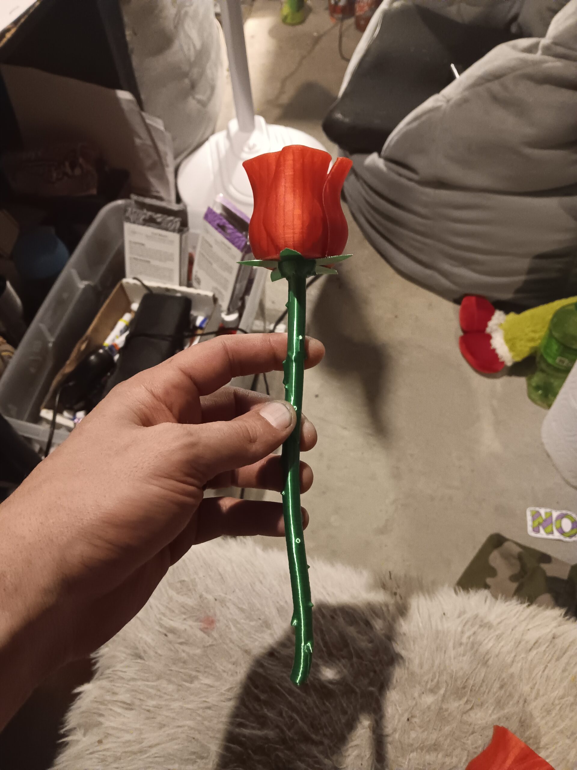 Flower - Beautiful Rose - Image 7