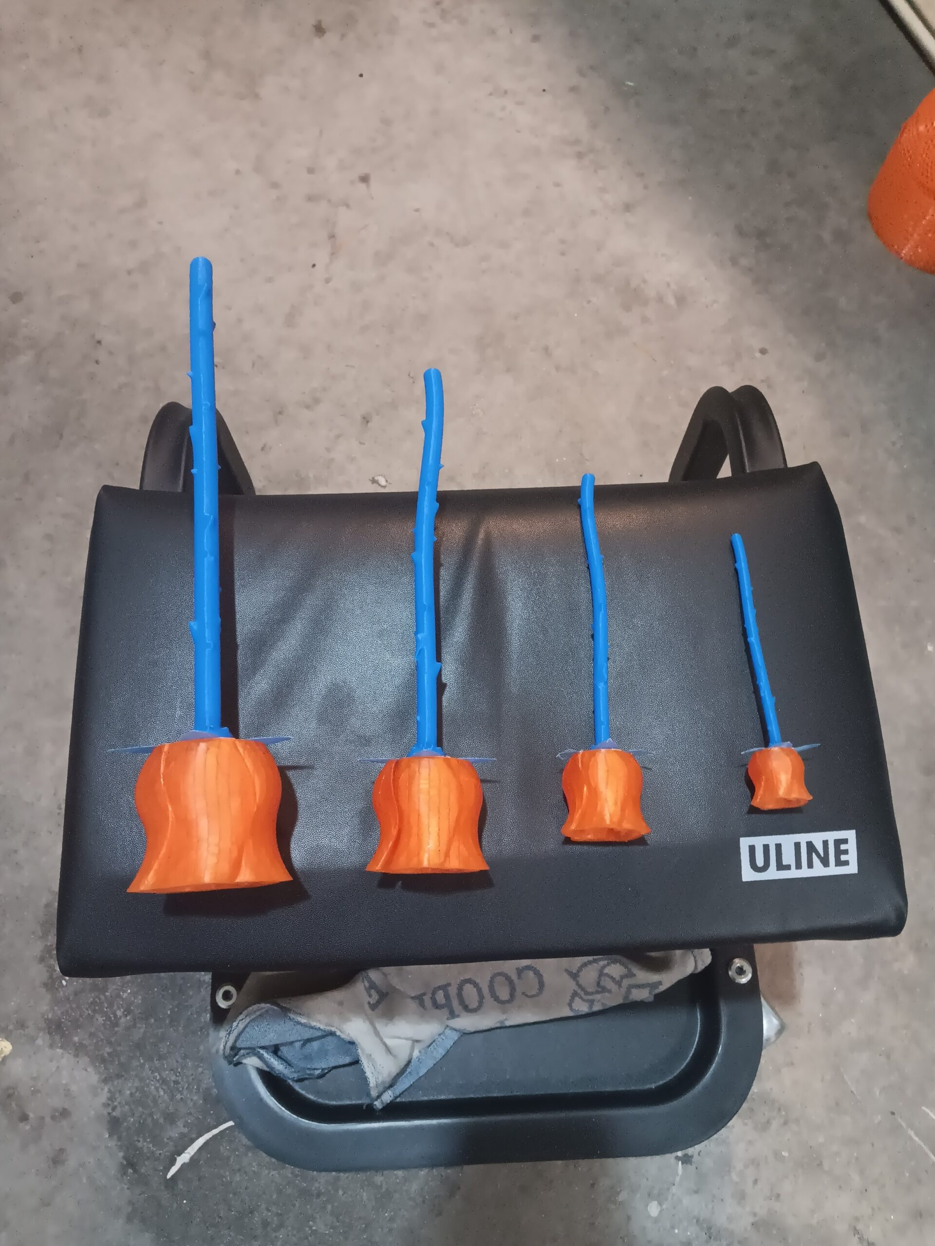 Flower - Beautiful Rose - Image 3