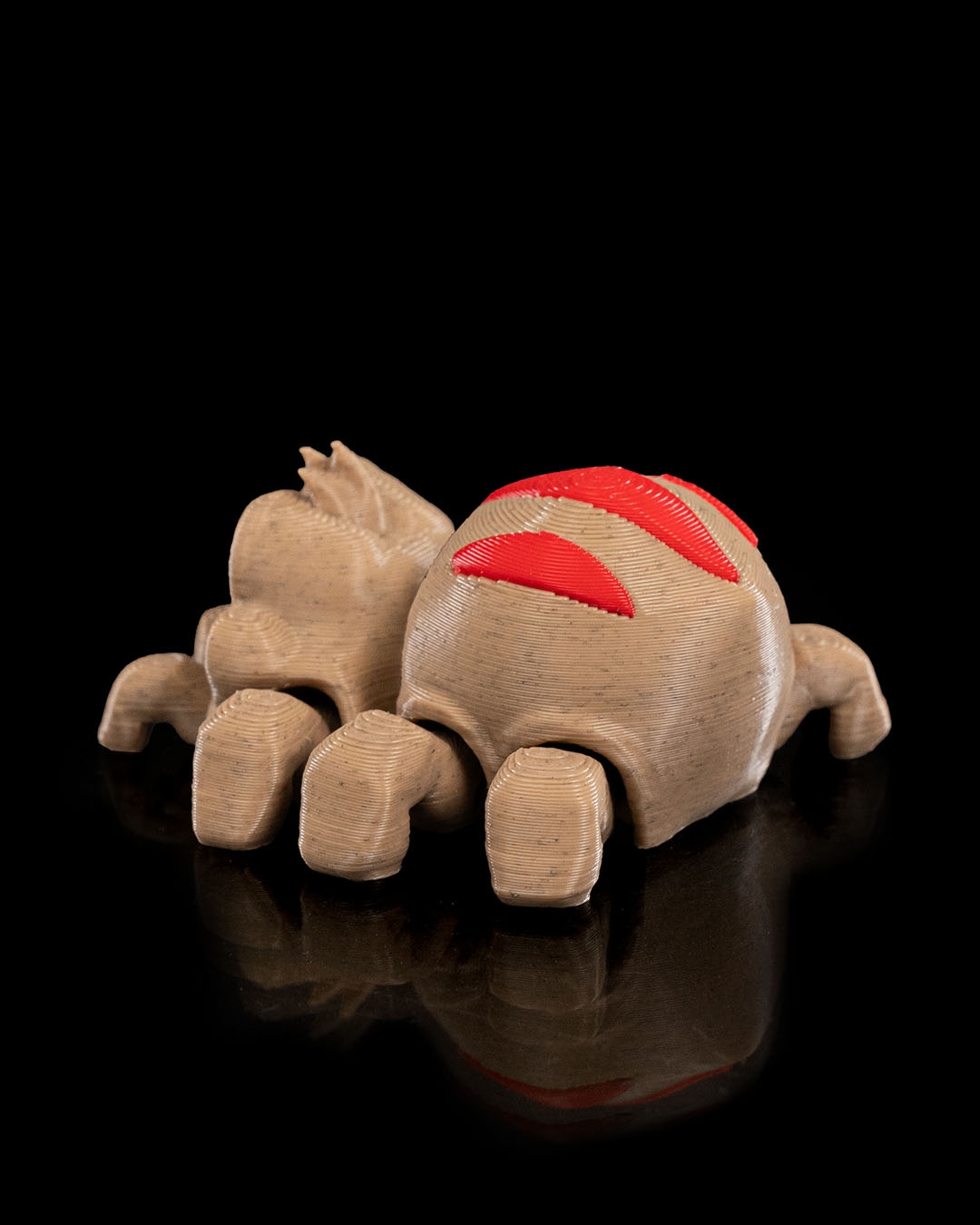 Terror-antula - Image 6