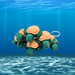 Turtle Keychain