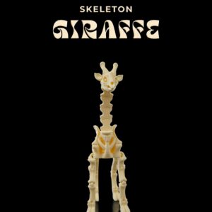 Skeleton Giraffe