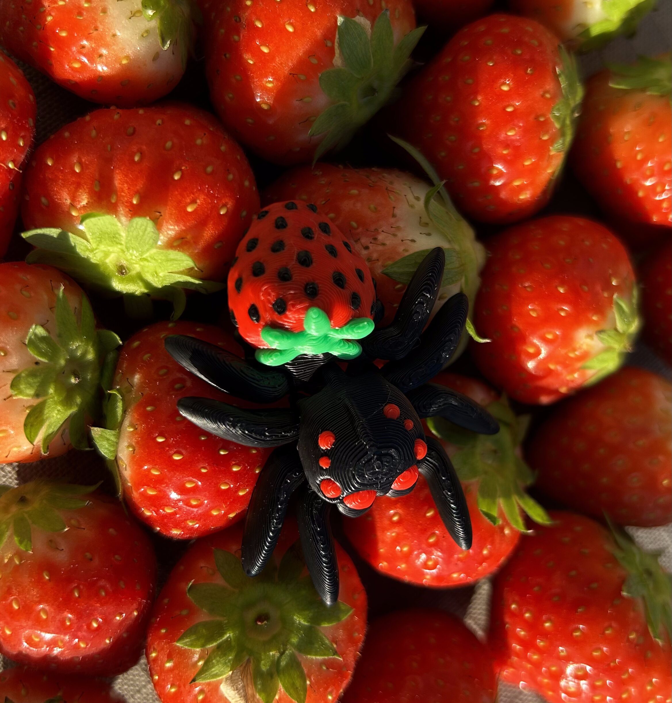 Articulated Spider Collection - Image 5