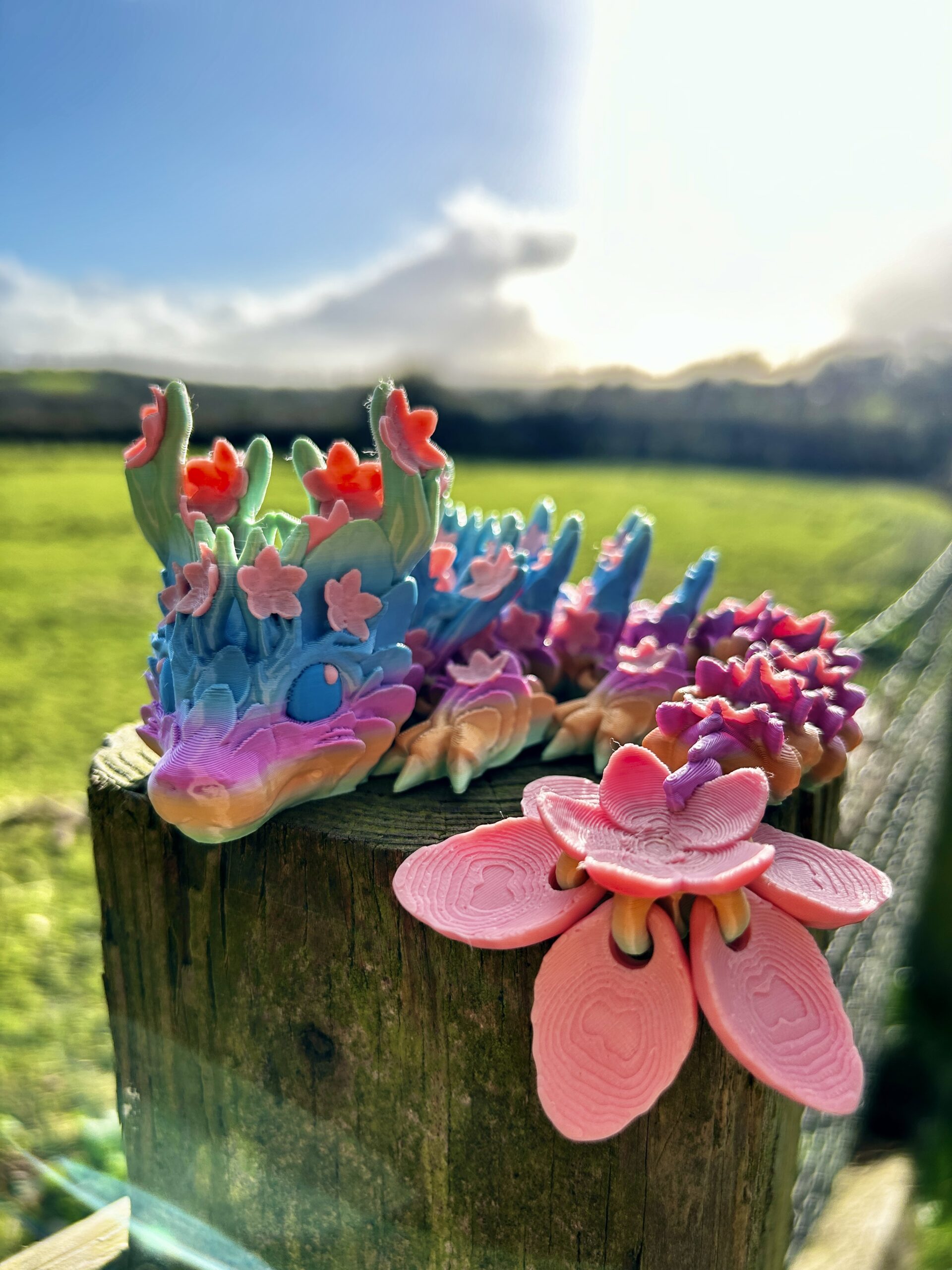 Cherry Blossom Dragon