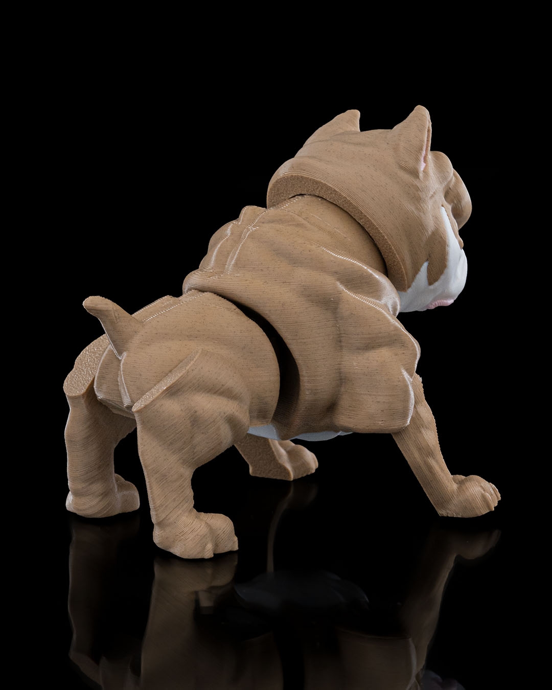 Articulated American Bully - Image 6
