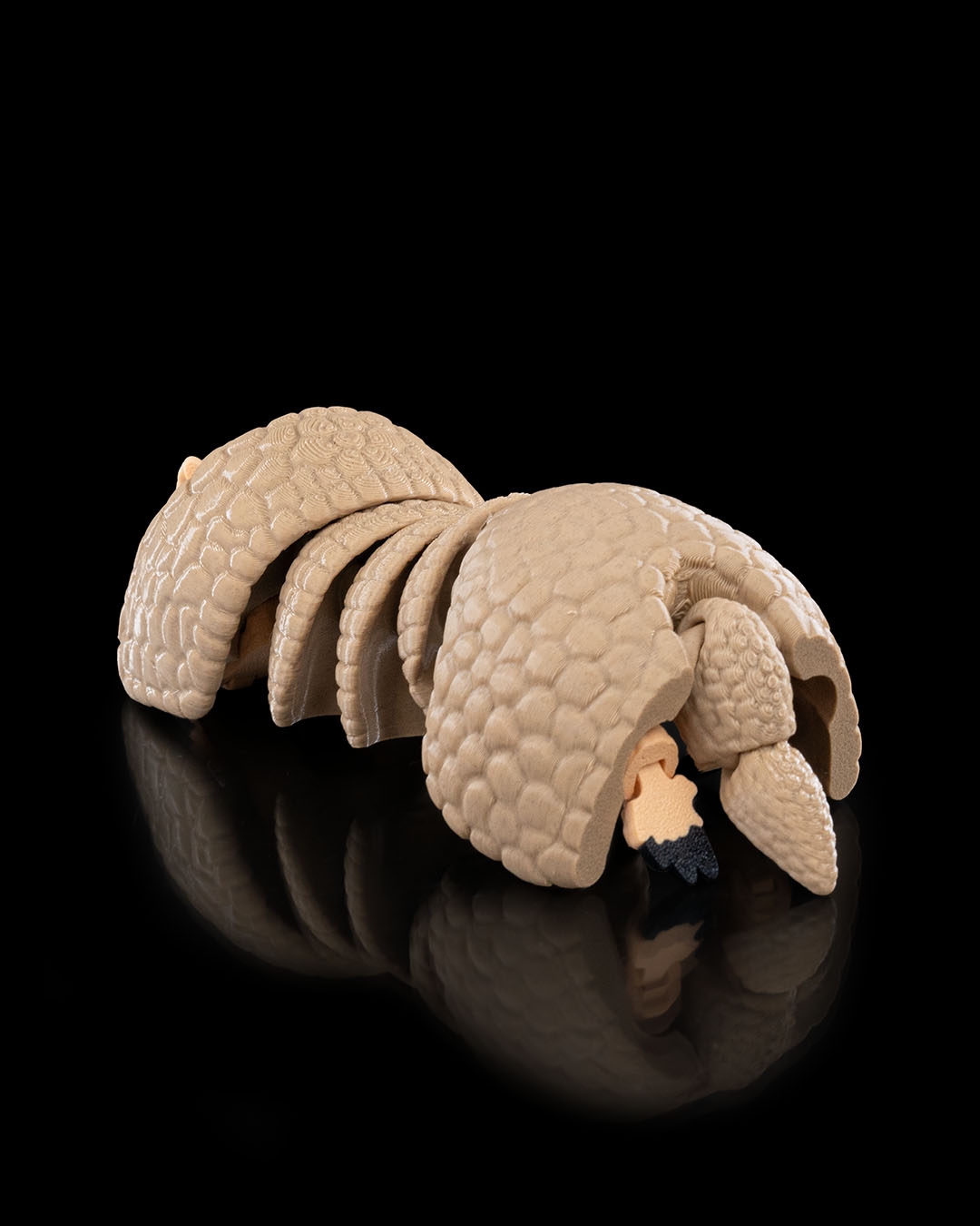 Articulated Armadillo - Image 3