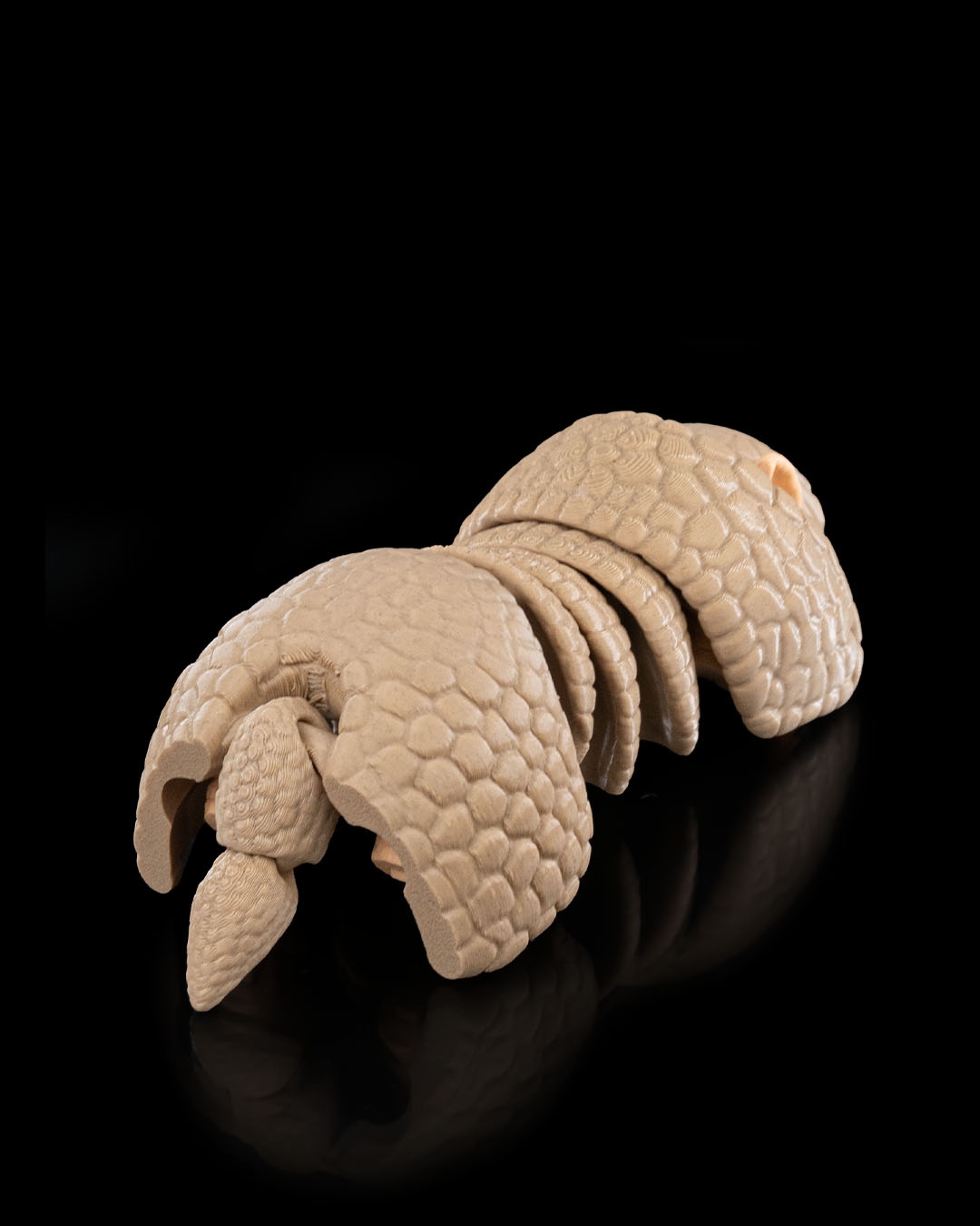 Articulated Armadillo - Image 4