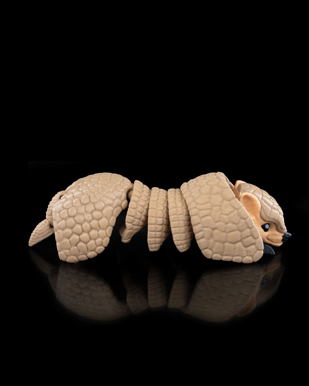 Articulated Armadillo - Image 5