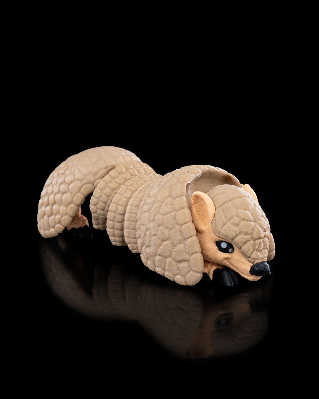 Articulated Armadillo - Image 6