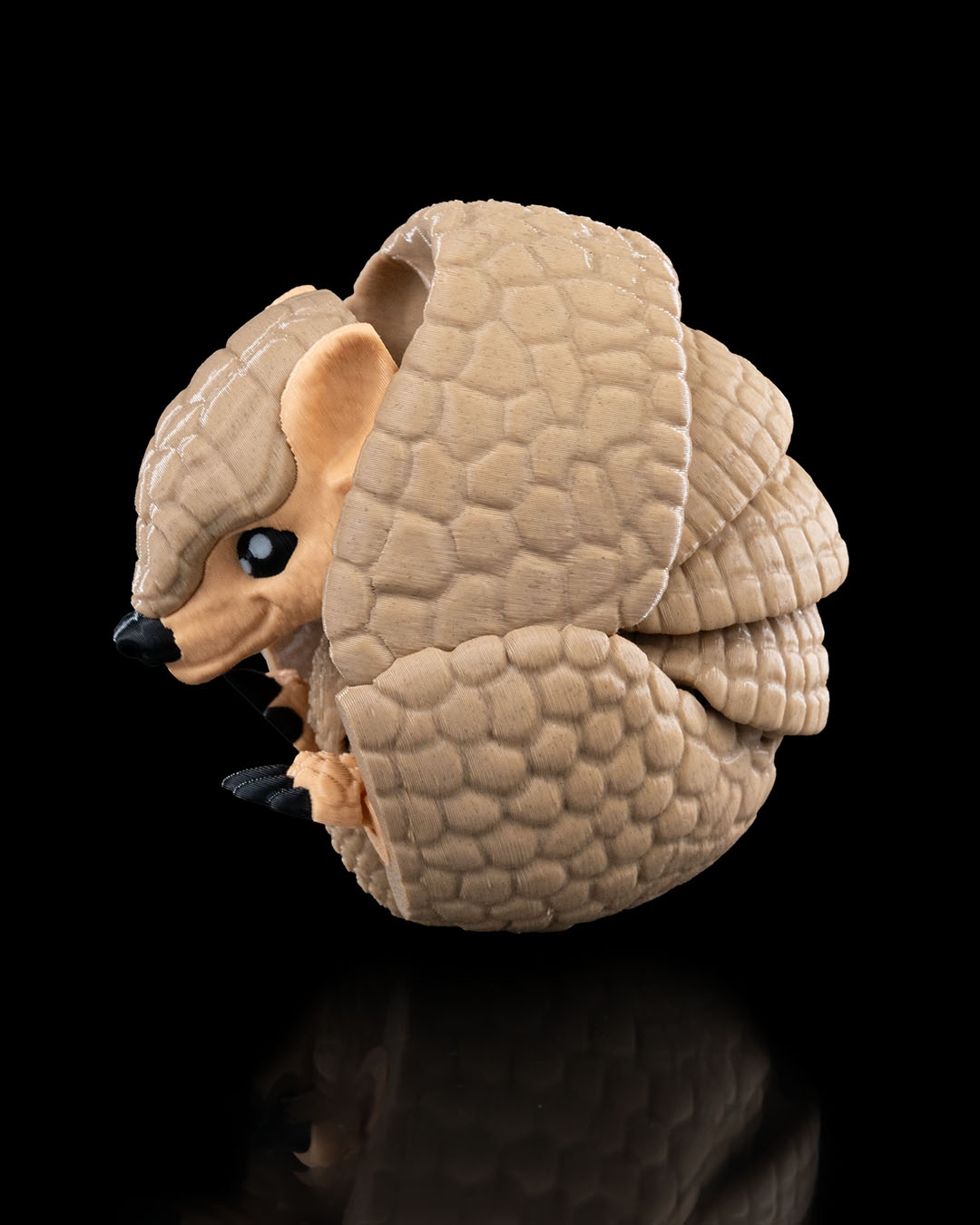Articulated Armadillo - Image 8