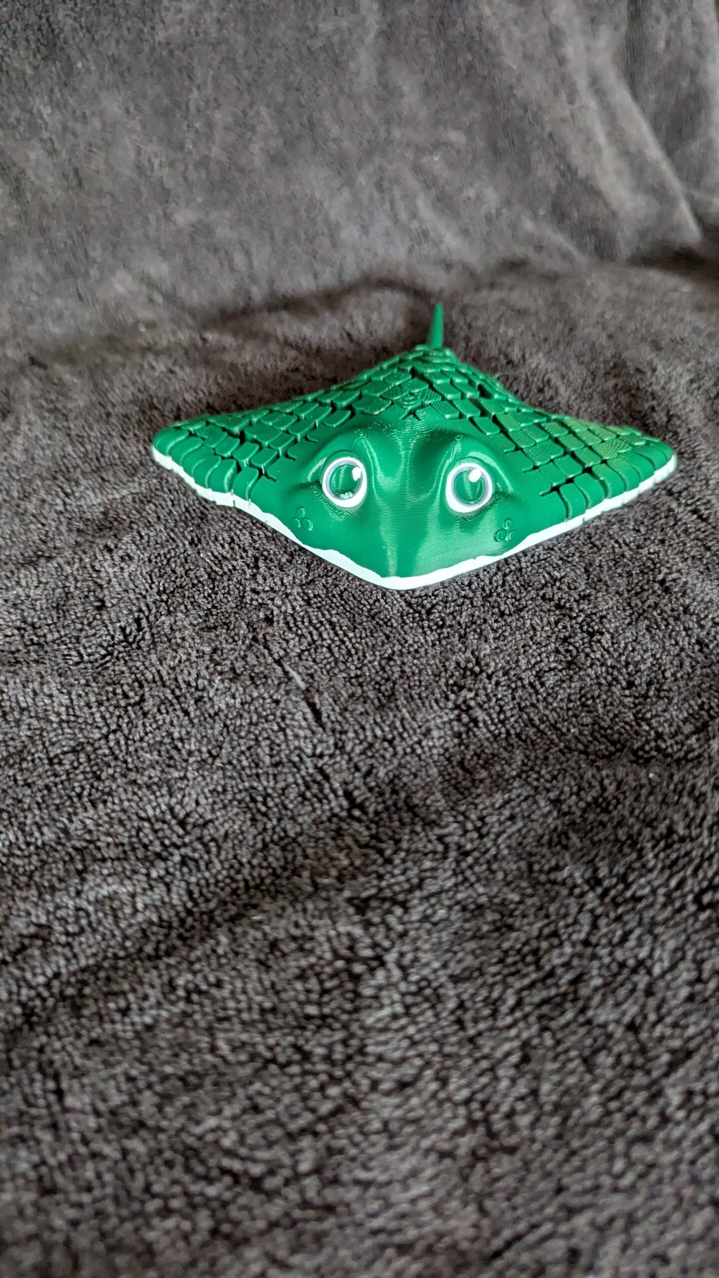 Ray, the Manta Ray - Image 2