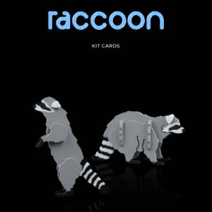 Raccoon Kit Cards