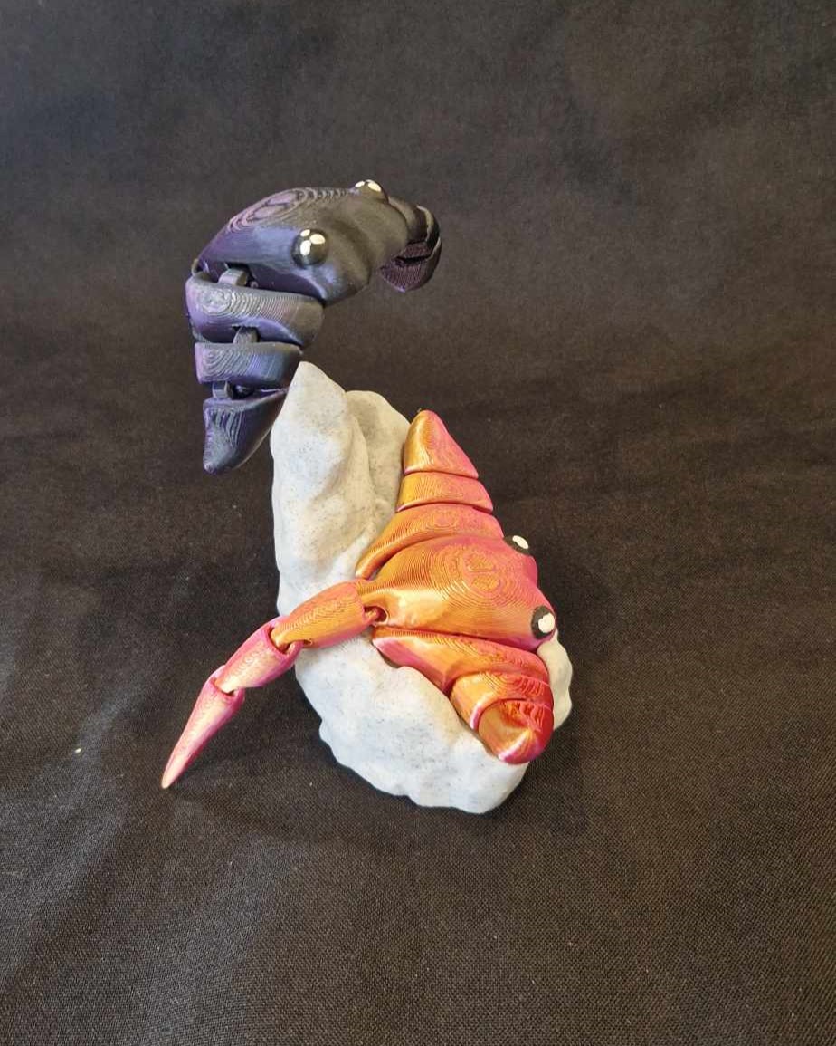 Rocher pour raie manta articulée - Image 3