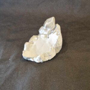 Rocher pour raie manta articulée