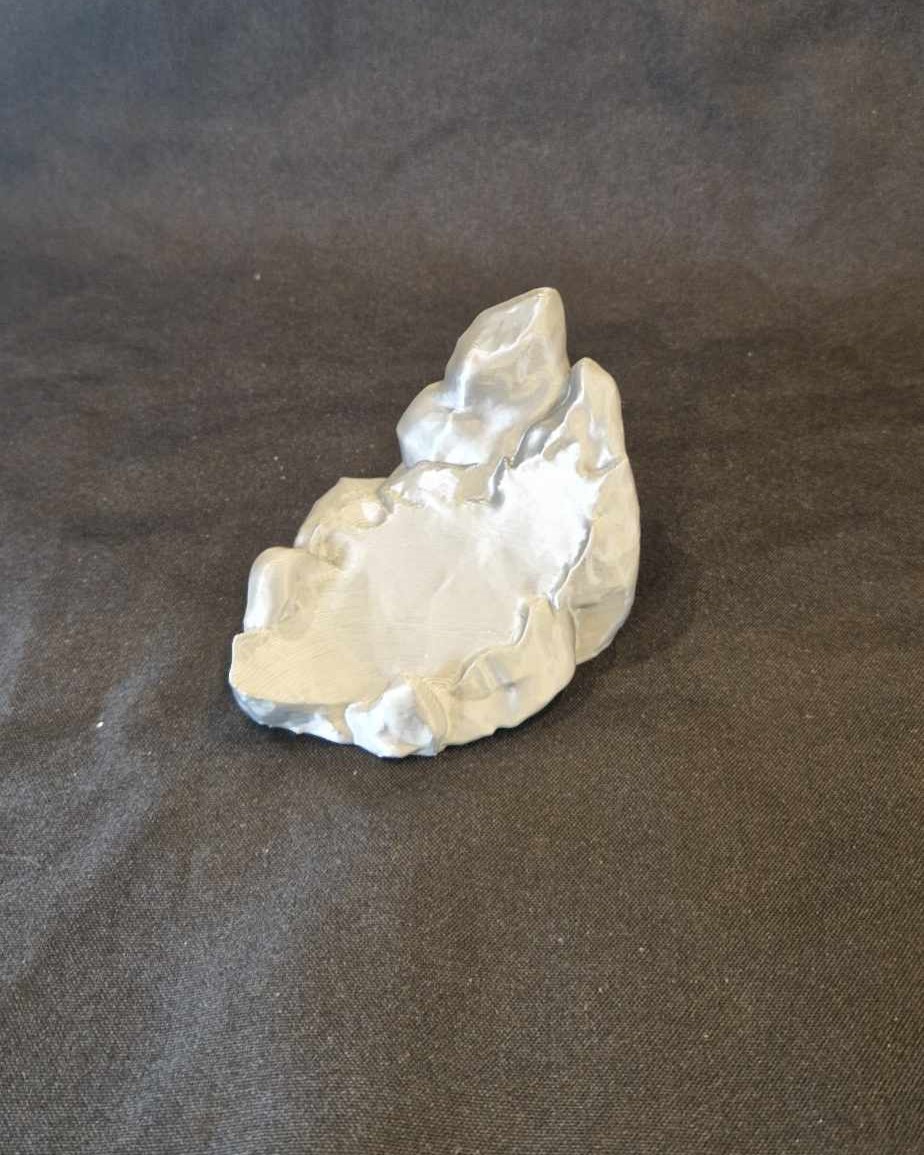 Rocher pour raie manta articulée