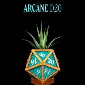 Arcane D20