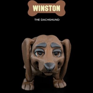 Winston, the Dachshund