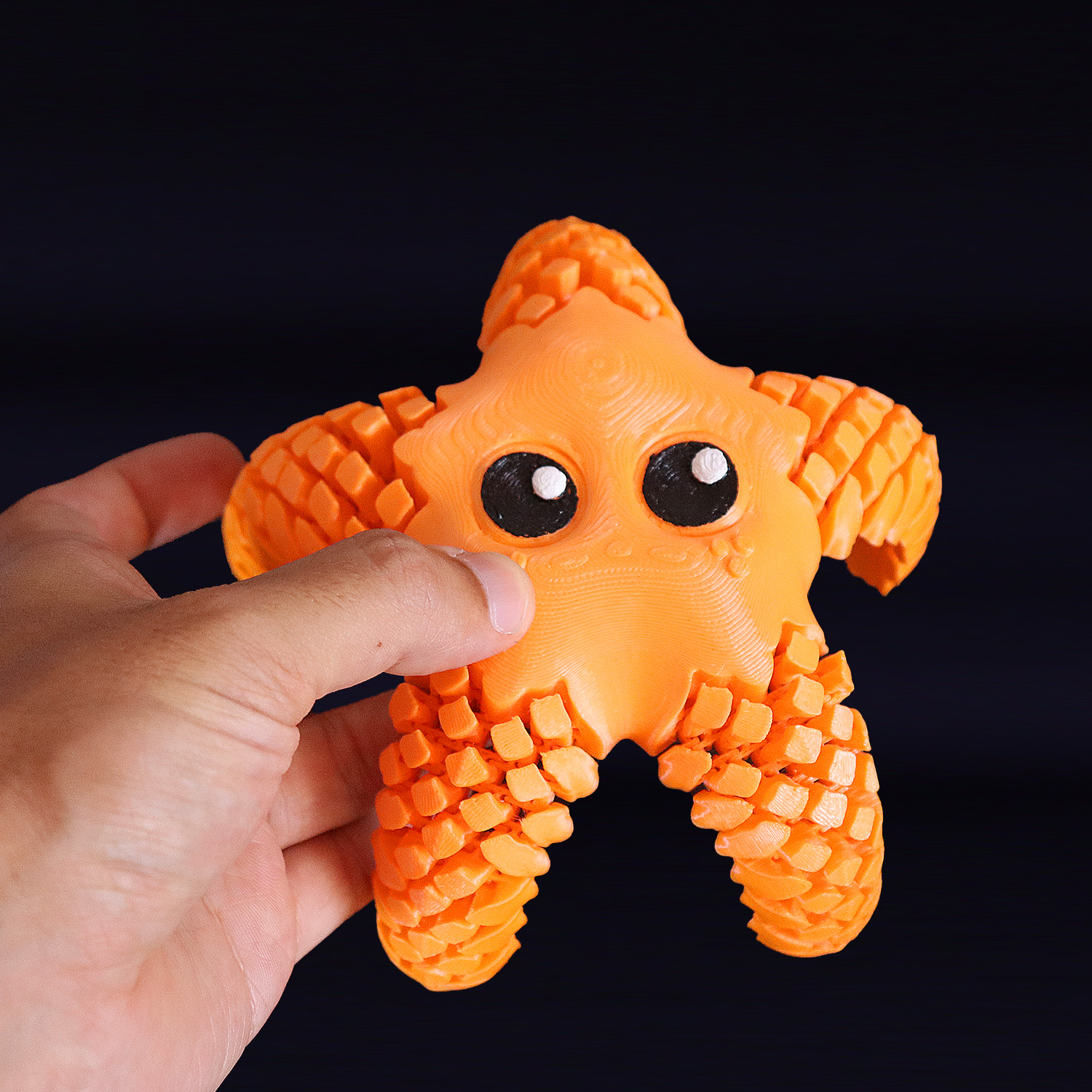 Estrela do mar articulada - Image 3