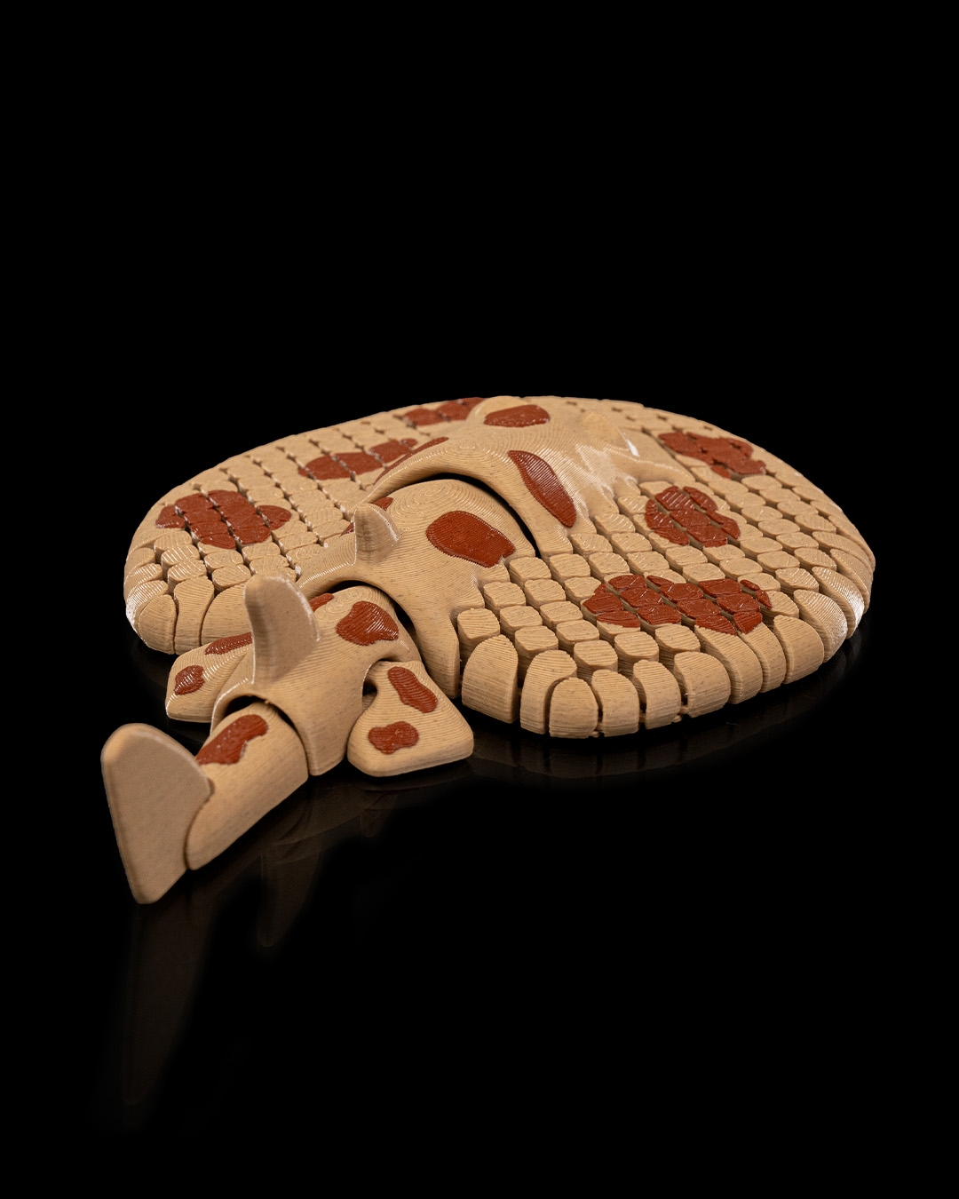 Lexi, the Electric Ray - Image 4