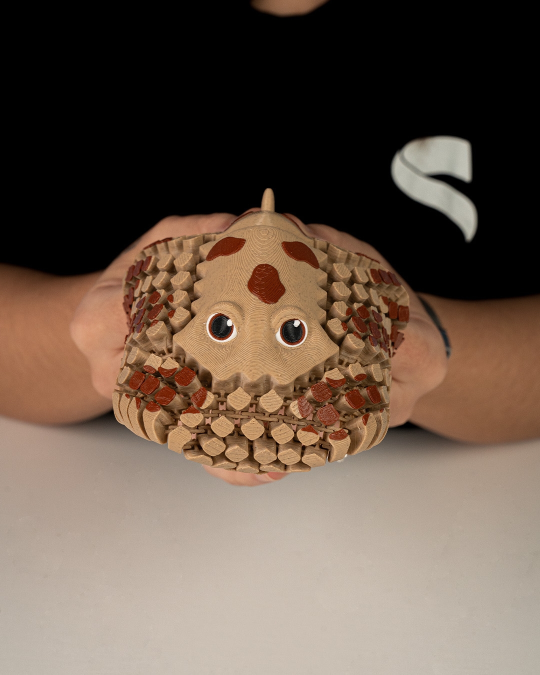 Lexi, the Electric Ray - Image 3