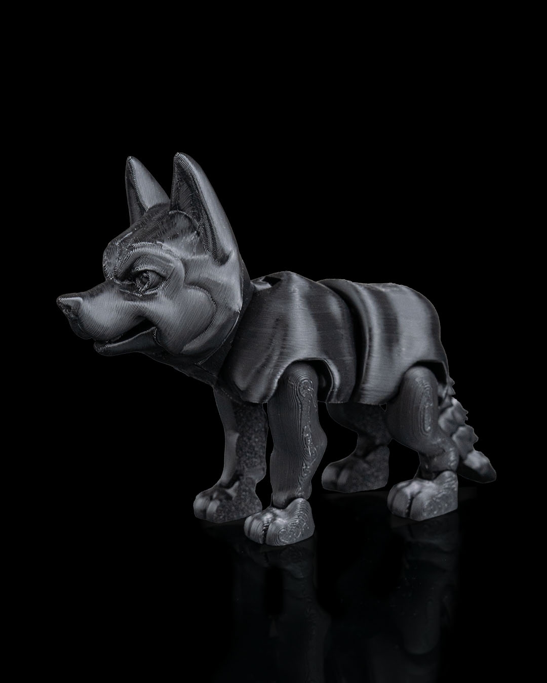 Blaze, Le husky - Image 8