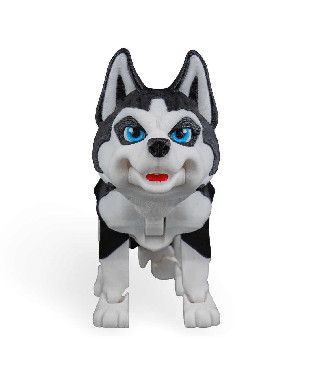 Blaze, Le husky - Image 9
