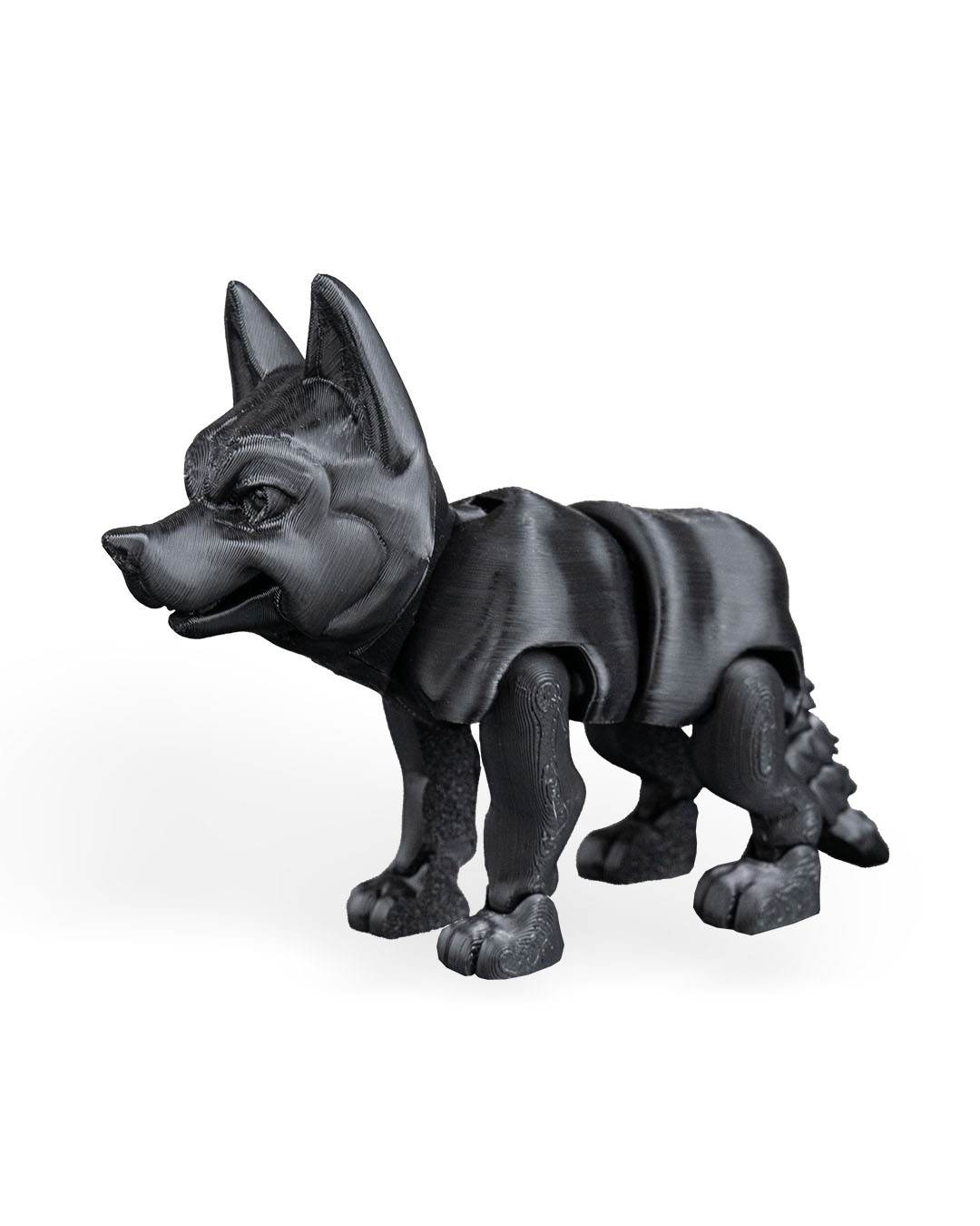 Blaze, Le husky - Image 15