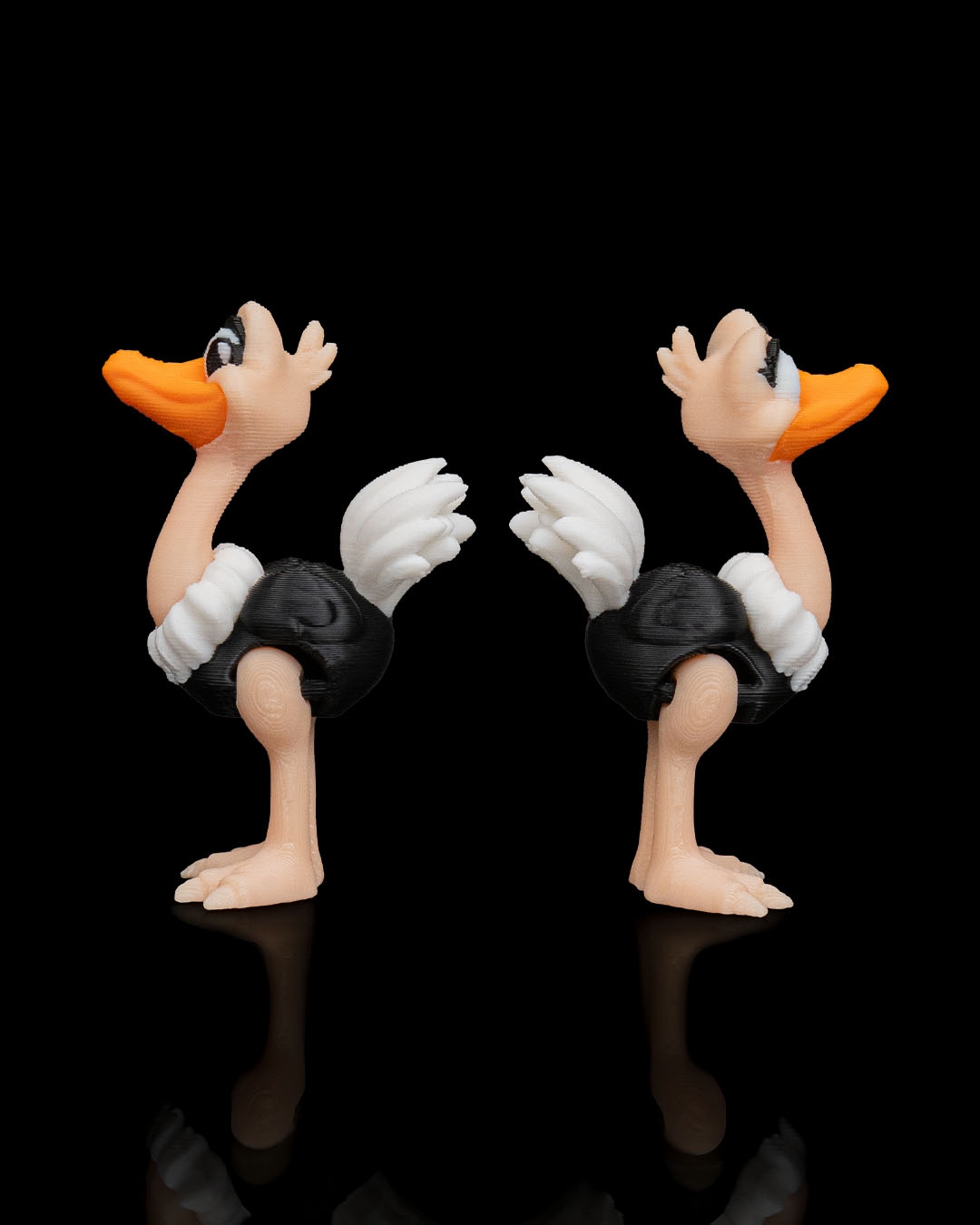 Pair of Ostriches - Image 5