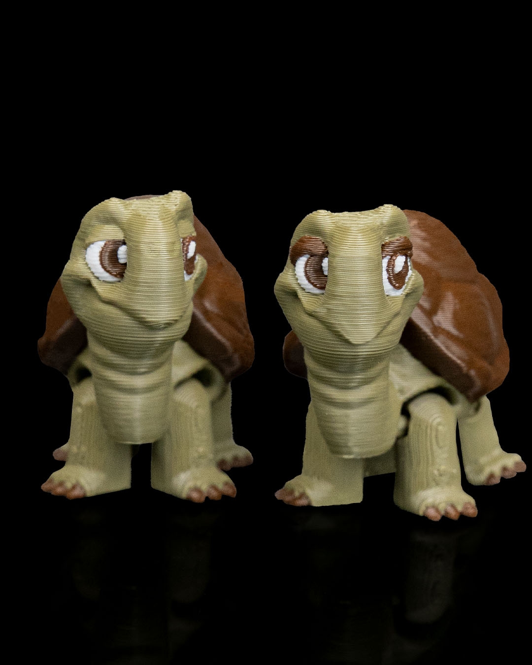 Pair of Tortoises - Image 2